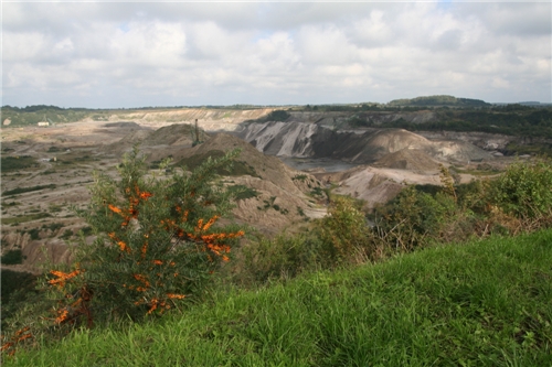 p0000013.jpg (158084 bytes)